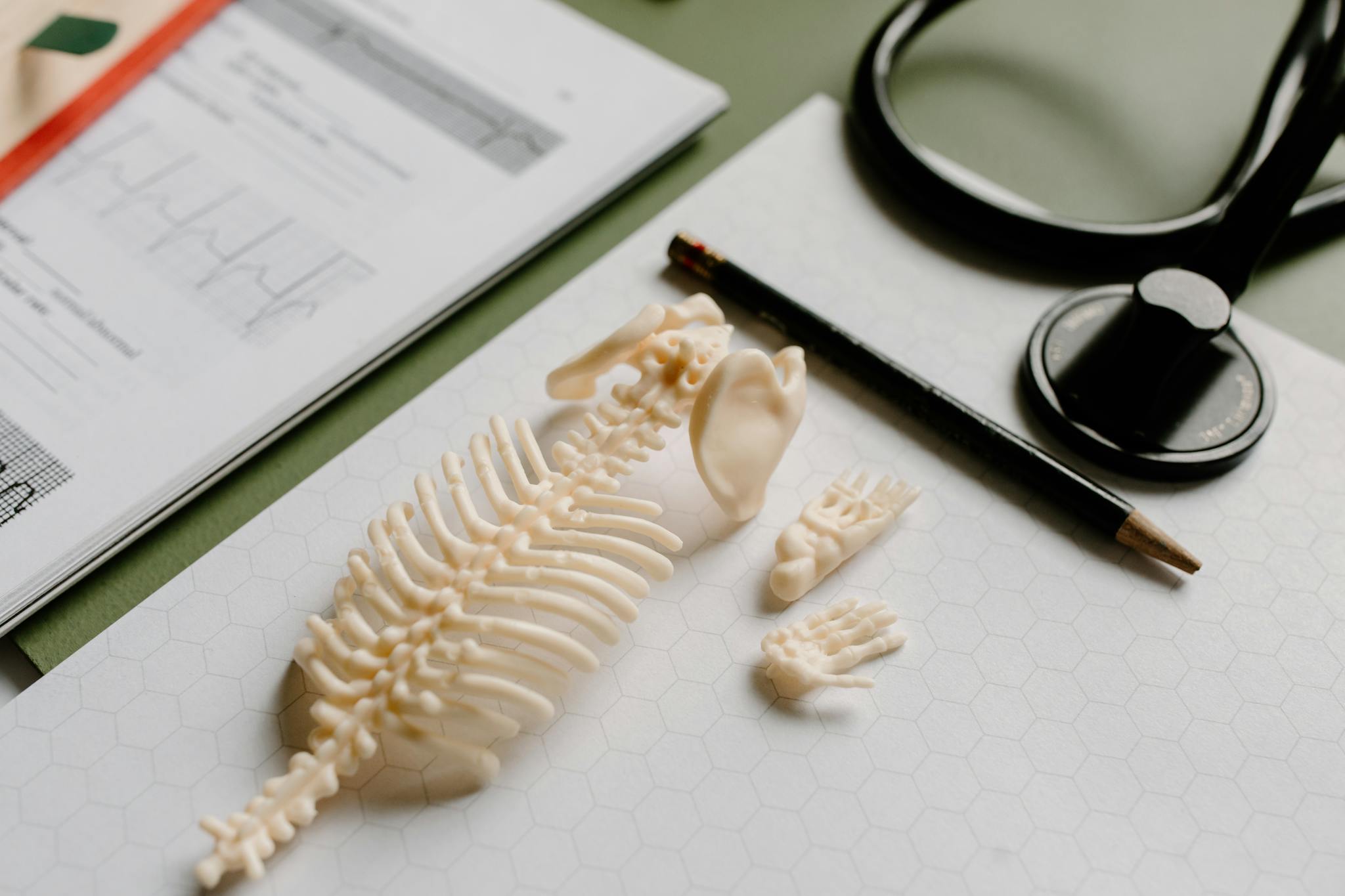 Flat lay of medical study materials including skeleton model and stethoscope on graph paper.